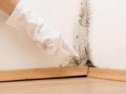 Best Real Estate Mold Inspection  in Churubusco, IN